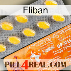 Fliban new05